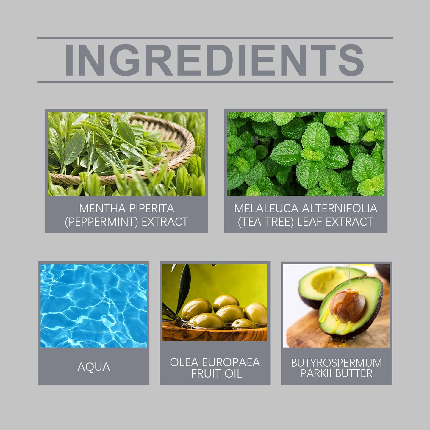 زيت شجرة الشاي العطري - نقي ومتعدد الاستخدامات