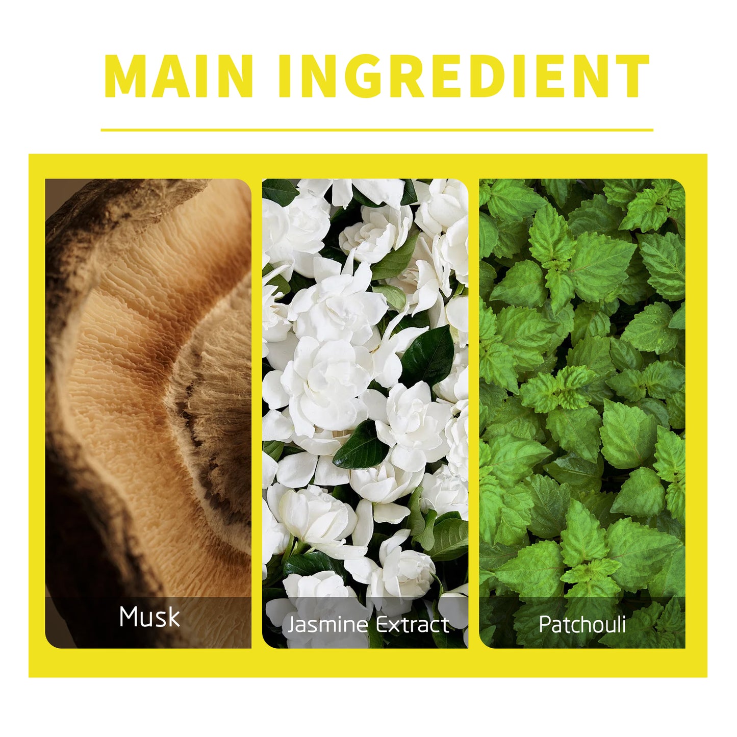 Erkekler İçin Esansiyel Yağ – Doğal Ferahlatıcı Vücut Kokusu