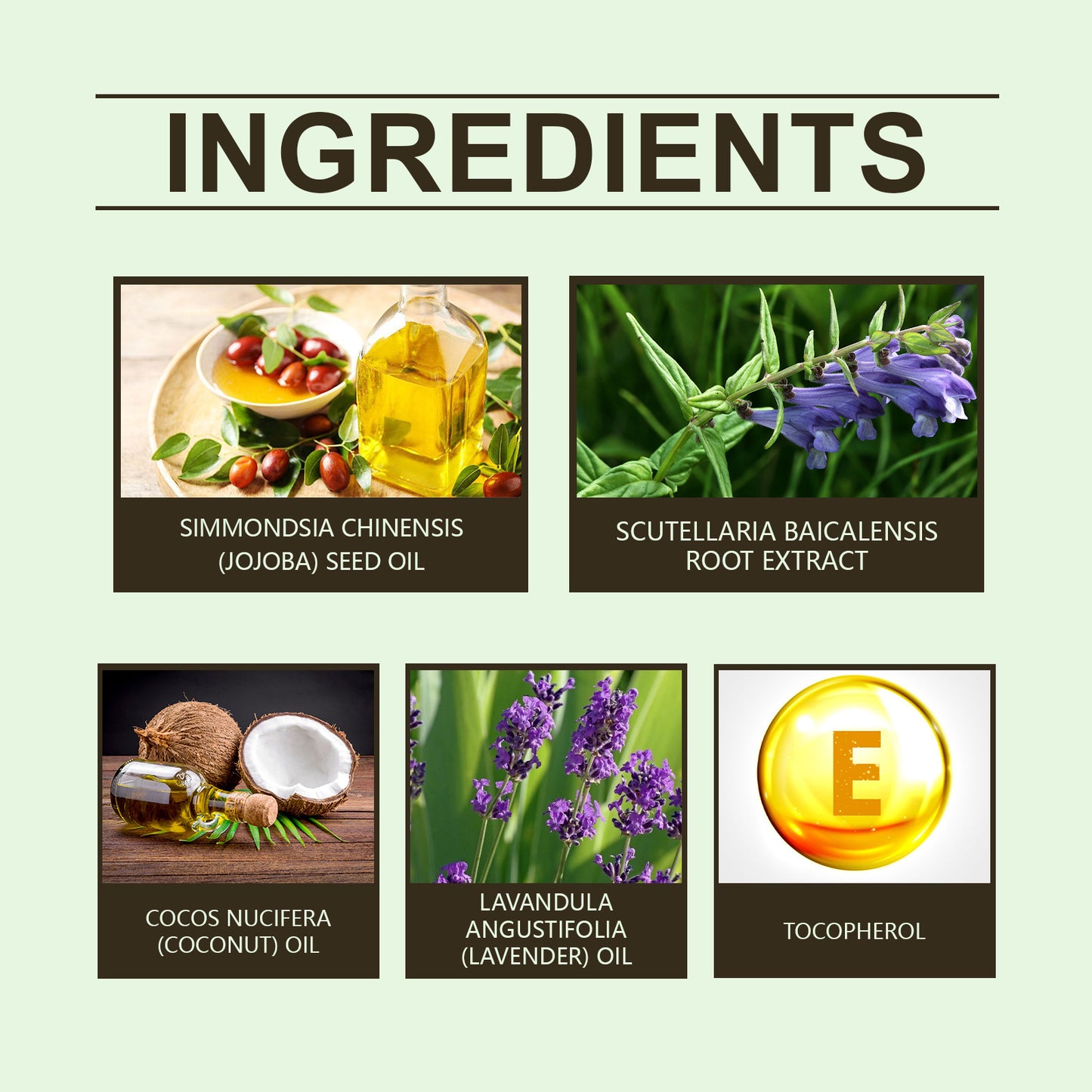 زيت سكوتيلاريا العطري للنوم – نوم عميق ومريح